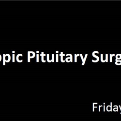 2nd Endoscopic Pituitary Surgery Course